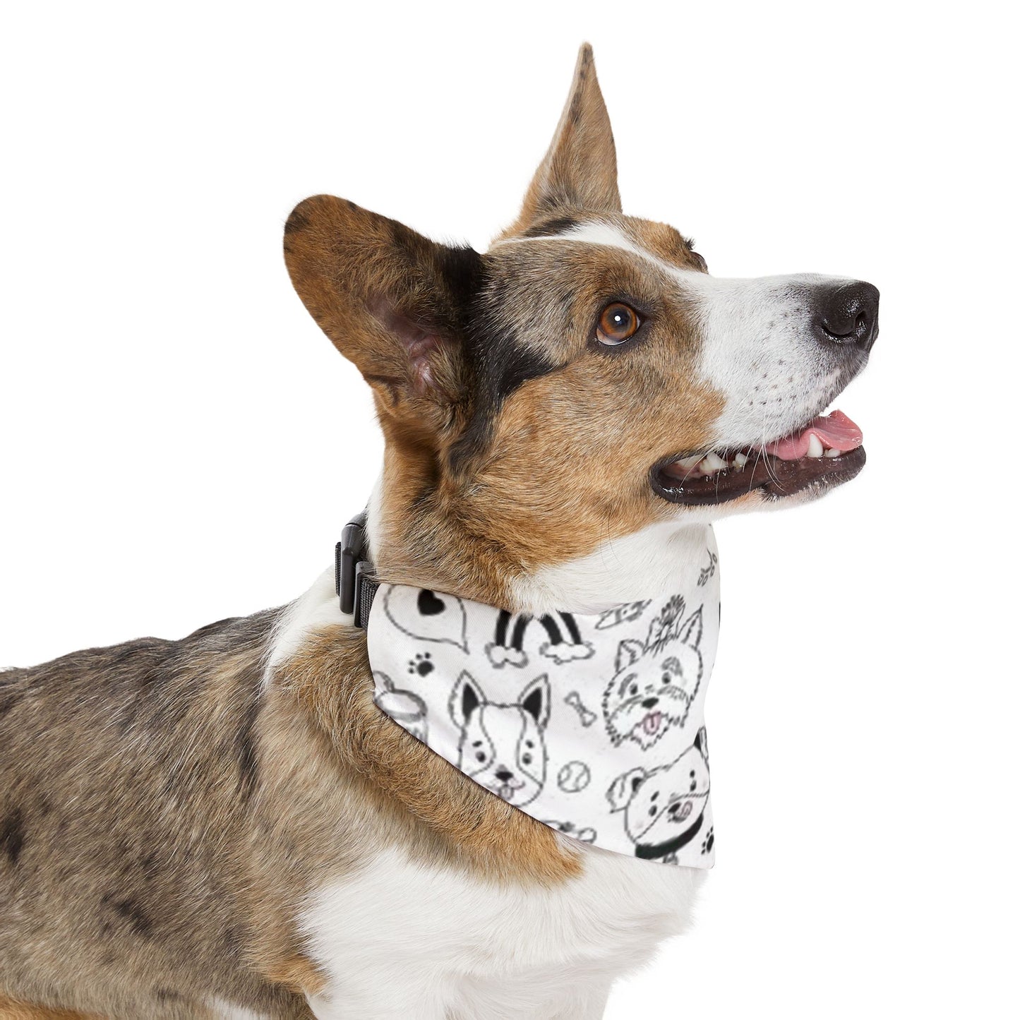 Dogs, Bandana Collar