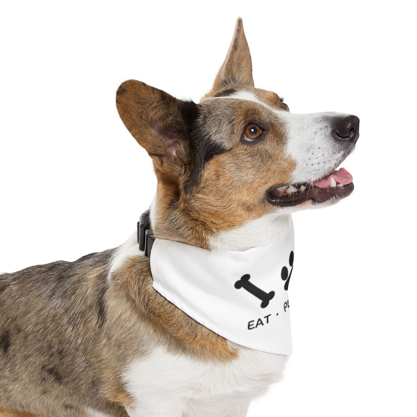 Eat Play Love, Bandana Collar