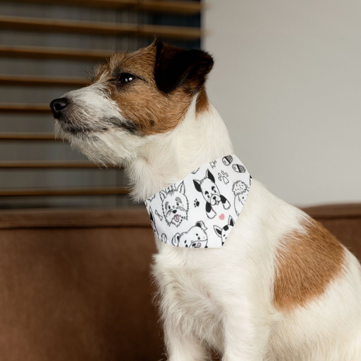 Dogs, Bandana Collar