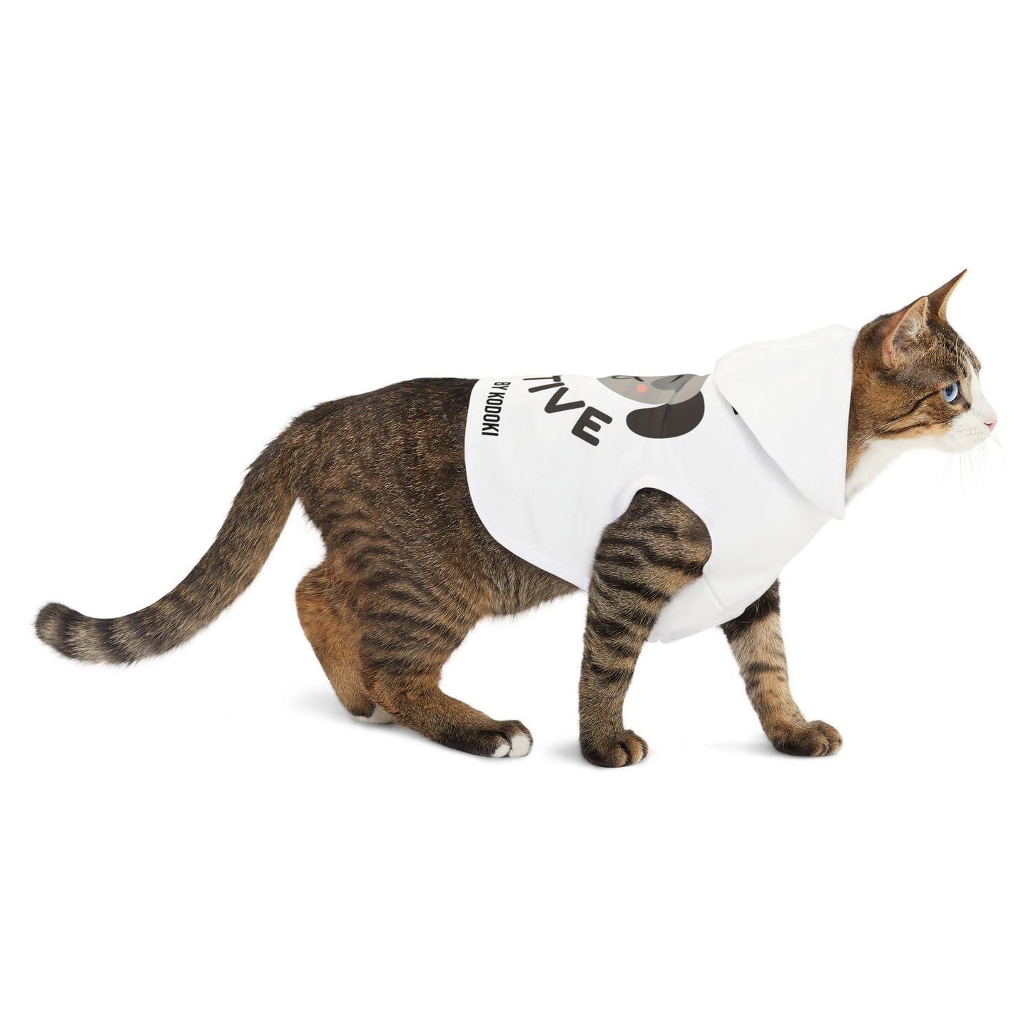 Stay Pawsitive