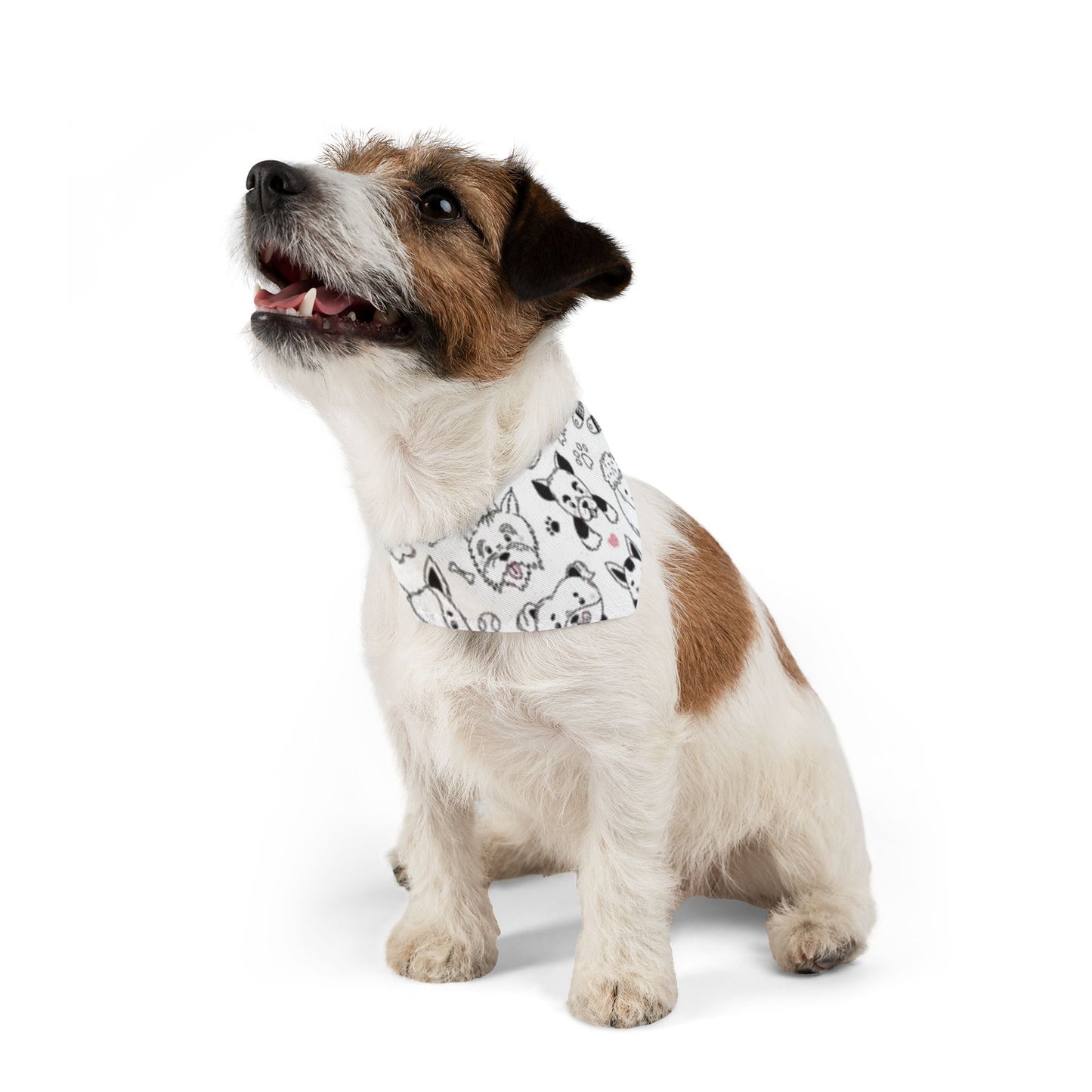 Dogs, Bandana Collar