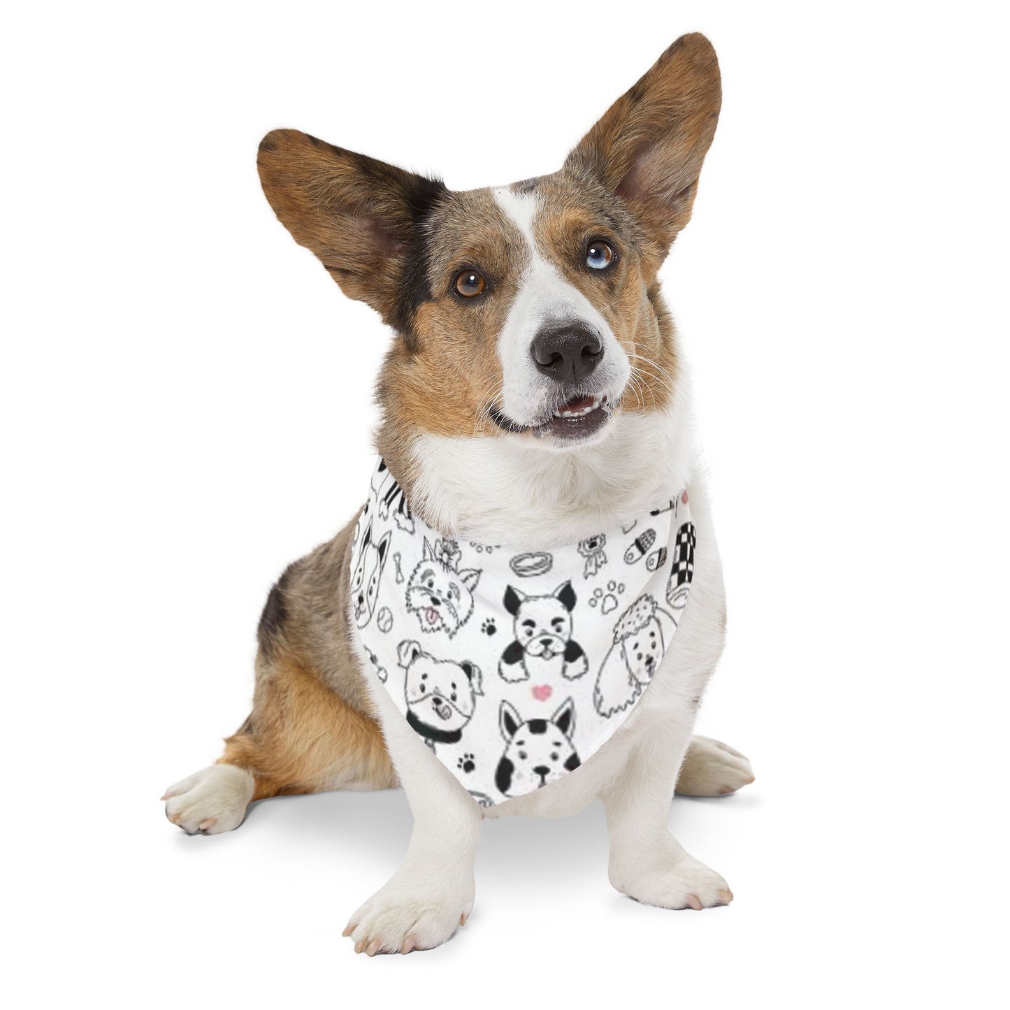 Dogs, Bandana Collar