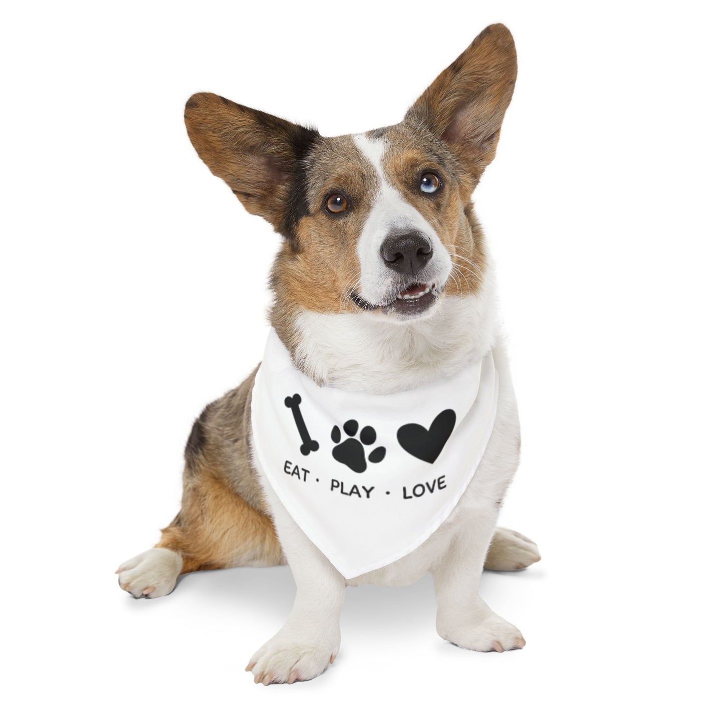 Eat Play Love, Bandana Collar