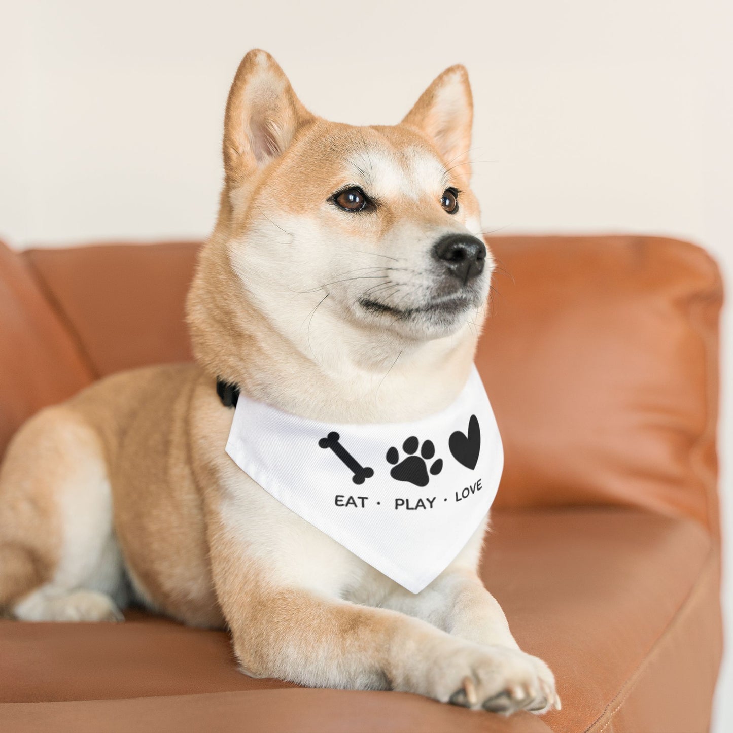 Eat Play Love, Bandana Collar