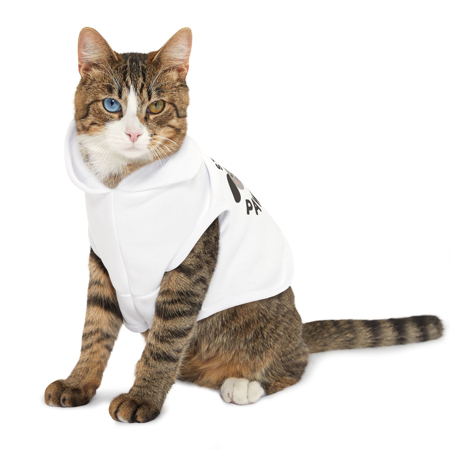 Stay Pawsitive