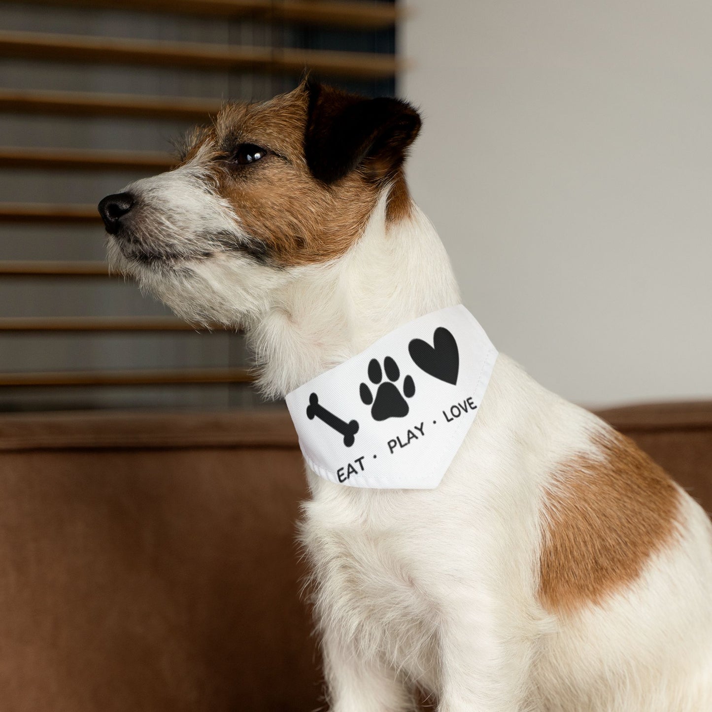Eat Play Love, Bandana Collar