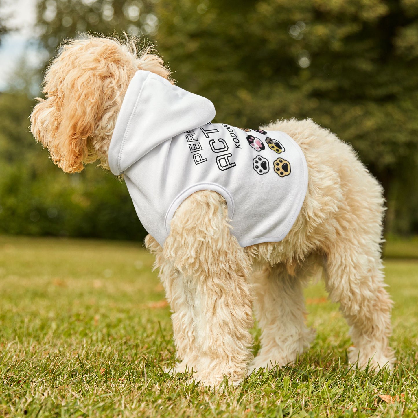 'Perro Con Actitud'