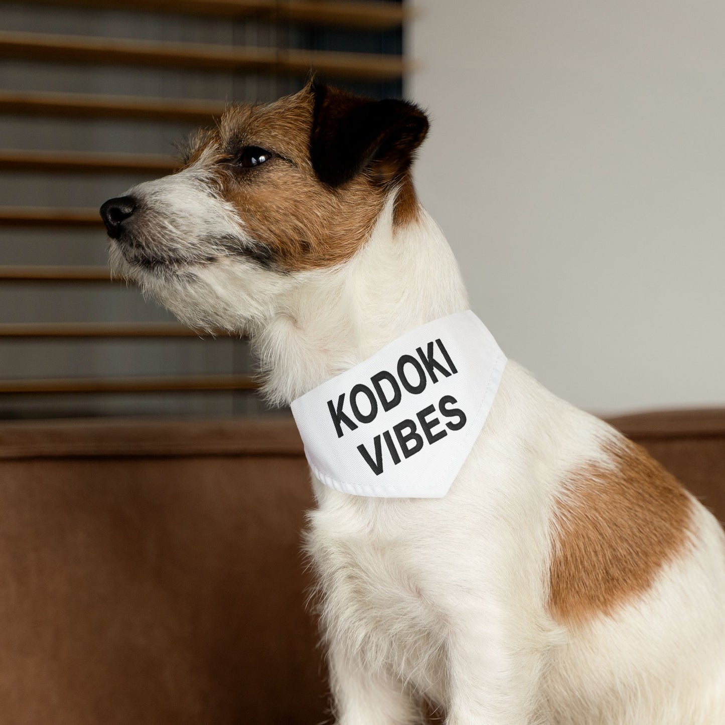 Kodoki Vibes, Bandana Collar