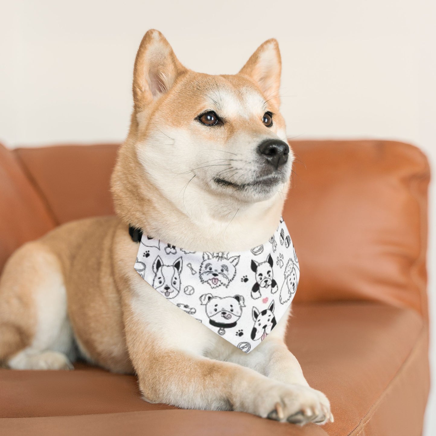 Dogs, Bandana Collar