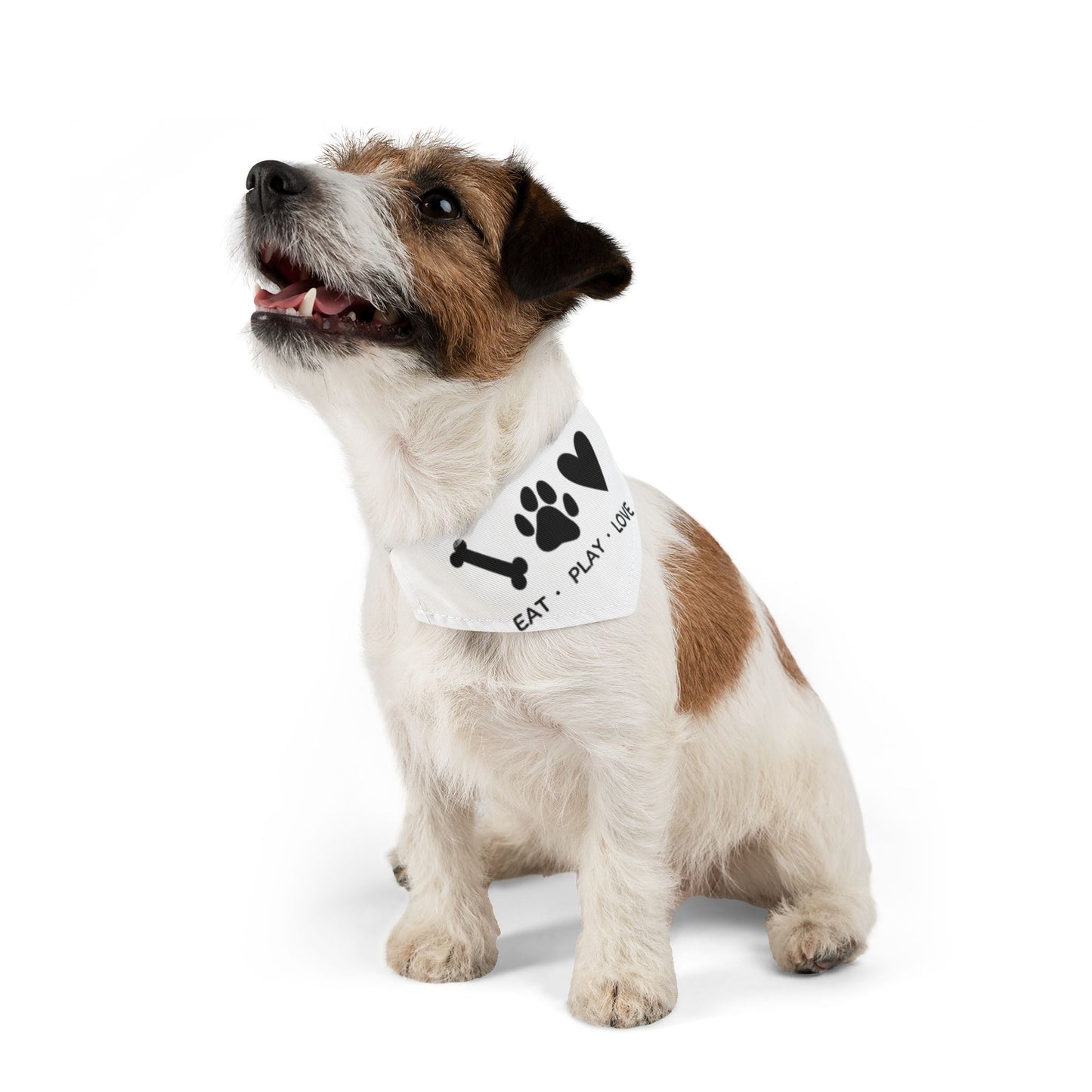 Eat Play Love, Bandana Collar