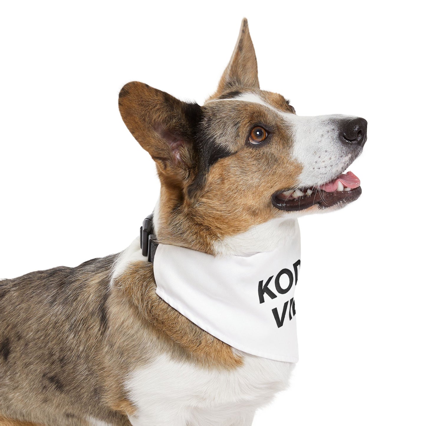 Kodoki Vibes, Bandana Collar