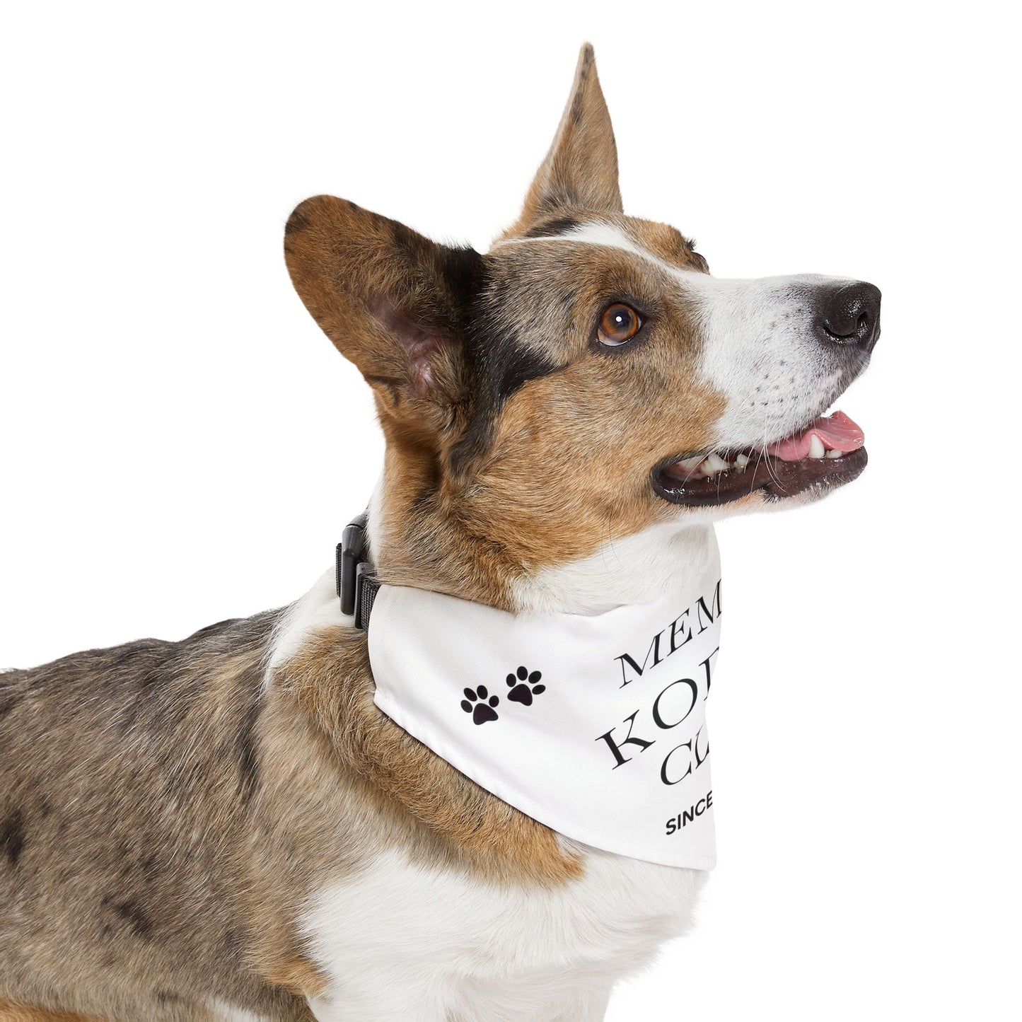 Kodoki Member Bandana