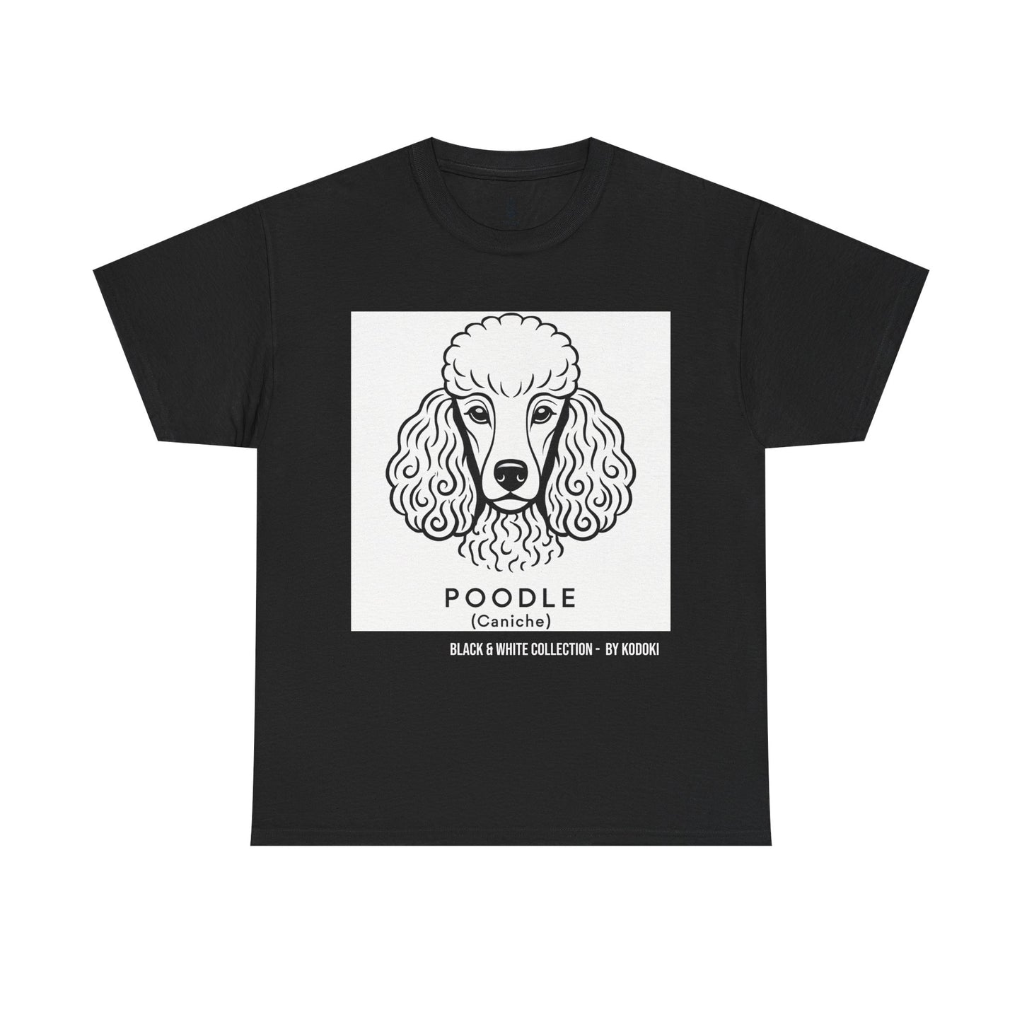 Poodle ( Caniche)